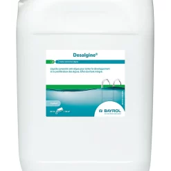 Castorama Desalgine 6L