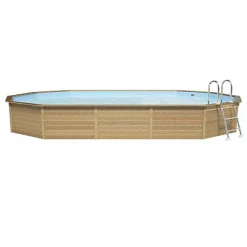 Castorama Piscine Béton Naturalis LDD L.7,87 X L.4,72 X H.1,43 M